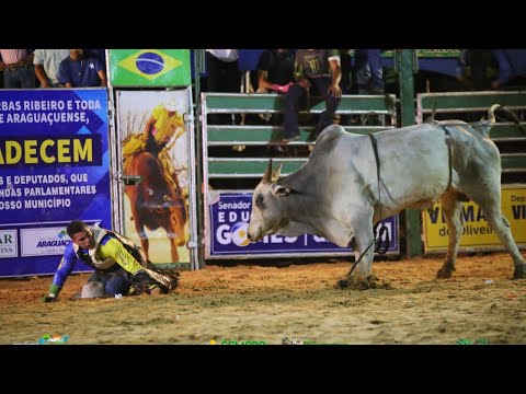 William Carlos único x touro mutante