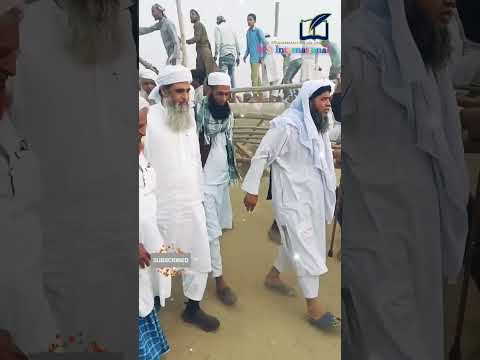 #Maulana Saad in ijtema ❣️ #shorts #youtubeshorts #shortvideo 👌