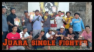 Download lagu Kicau mania juara single fighter... mp3
