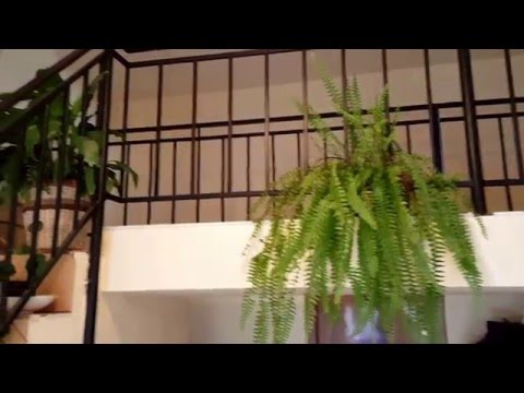 Casa Talmaciu cu 4 apartamente