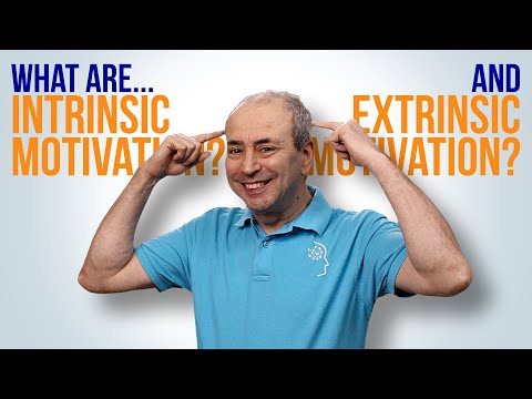 What are Intrinsic and Extrinsic Motivation? What's the difference?