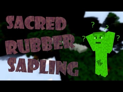 Sacred Rubber Sapling: It Grew to the Clouds!