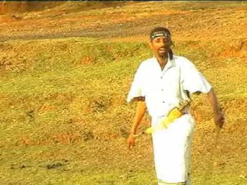 Tadesse Alemu - Wollo