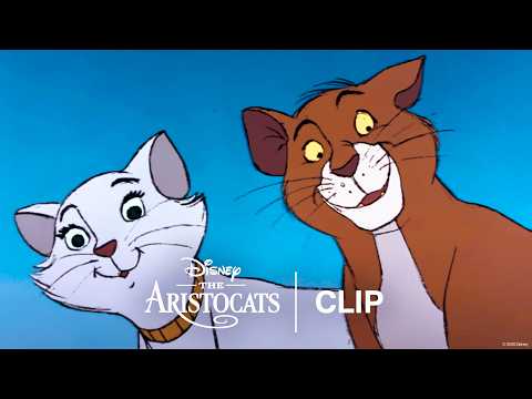 The Scat Cat Club - Official Clip