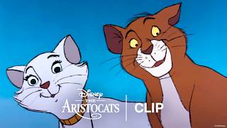 Clip