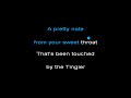 Blondie   The Tingler Karaoke