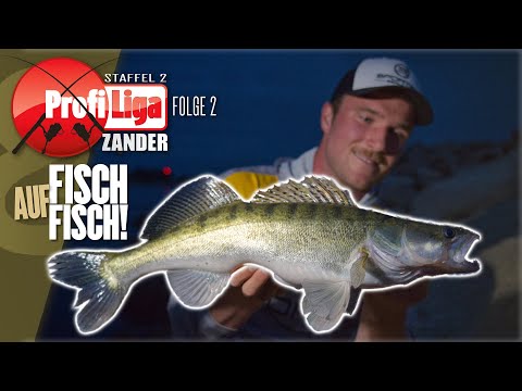 Anton's strong comeback! Profi Liga Zander Season 2, Episode 2