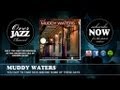 Muddy Waters - You Got to Take Sick and Die Some of These Days (1942) - Overjazz Muddy Waters - You Got to Take Sick and Die Some of These Days (1942)