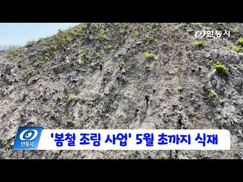 [안동 현장 리포트] 4월 21일, ‘봄철 조림 사업’ 5월 초까지 식재