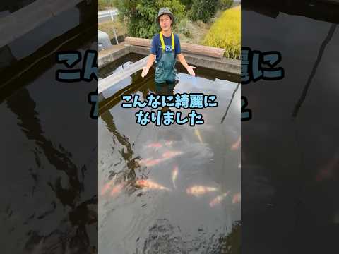 UVランプ付き池フィルター