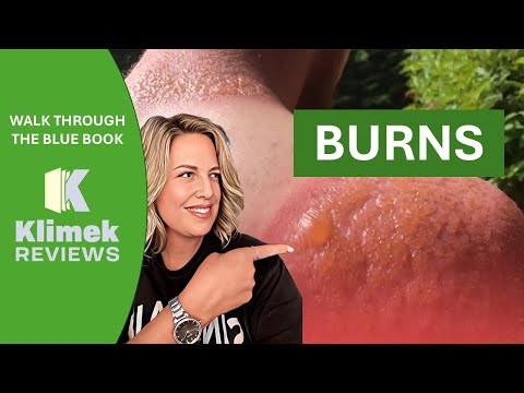 BURNS-Vortrag und Fragen mit Dr. Sharon