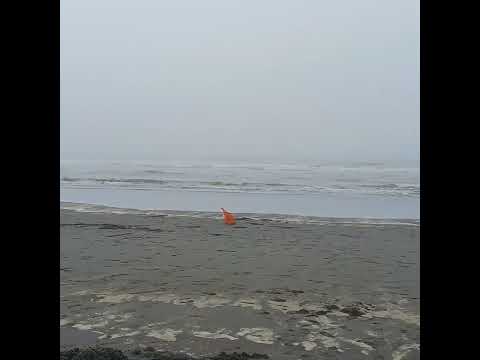 😳where's Charmy at the ocean