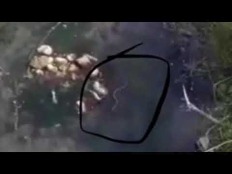 Del nga liqeni për vrap dhe për të pirë një kafe, ajo që pa aty po shokon tërë Shqipërinë