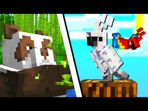20 COSE CHE NON SAI SU MINECRAFT ITA - SEGRETI E BUG