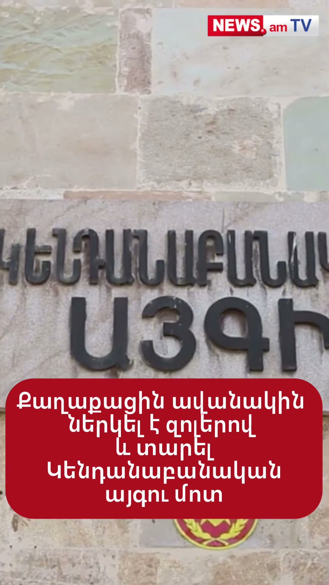 Քաղաքացին ավանակին ներկել էր եւ տարել Մյասնիկյան պողոտա՝ նկարահանման համար