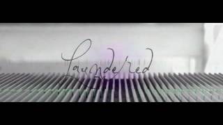 Laundered - Foxing (Lyric Video)