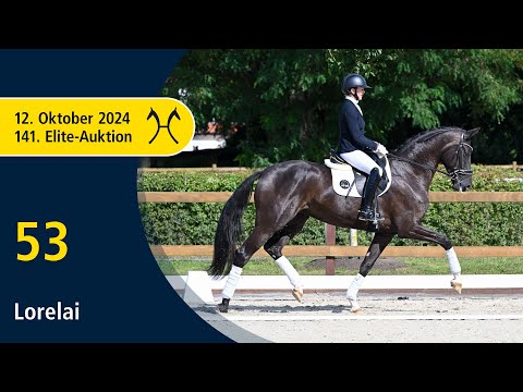 No. 53 Lorelai by Le Vivaldi - Desperados | 141. Verden Elite-Auction on October, 12th