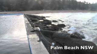 Billy Thorpe It&#39;s Almost Summer