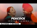 PEACOCK By JORDAN SANDHU🕊️(slowed + reverb)😘❤️ | Punjabi Song💃🏼
