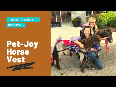 Vest for Miniature Therapy Horses