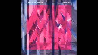 A Place To Bury Strangers - Straight