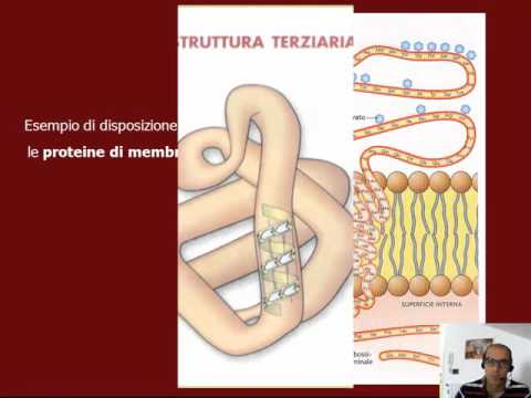Un ragazzo con un pene piccolo ragazza cazzo Patogeno femminile nelle farmacie analoghi della revisione dei prezzi