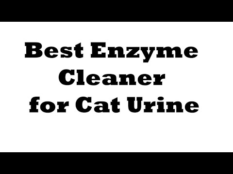 5 Best Enzyme Cleaner for Cat Urine Reviews 2022