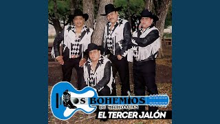 Hijos de la Gata Blanca