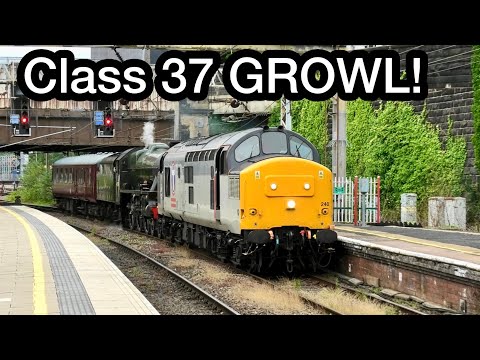25+ Mins of Class 37's Making LOTS OF NOISE..!