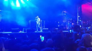 Vic Mensa - Shades of Blue live (Lollapalooza 2016)