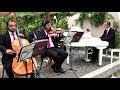 YOUR SONG  -  Elton John - Instrumental Violino -  Musical Songsdei - Casamento