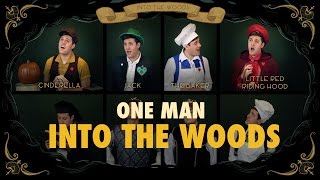 One Man Into The Woods - Medley - Nick Pitera