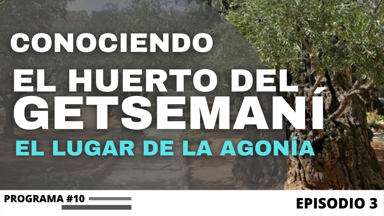 EL HUERTO DE GETSEMANÍ, ESPECIAL DESDE ISRAEL -"LA ULTIMA SEMANA DEL MESÍAS EN JERUSALÉN" EPISODIO 3