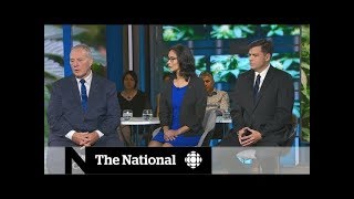 Cannabis legalization | The National Conversation