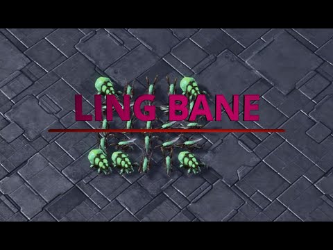 ZvZ: Ling Bane Phase Tutorial