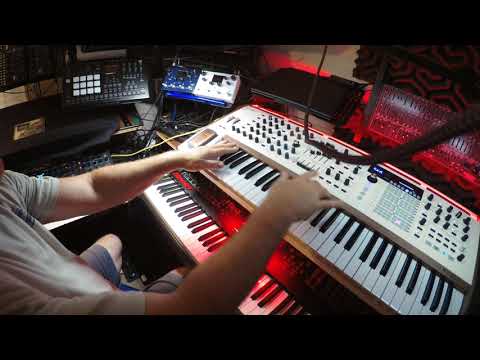 Arturia Polybrute 12 w/dust cover image 3