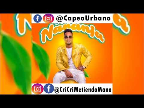 Musicologo The Libro – De Naranja (AUDIO OFICIAL)