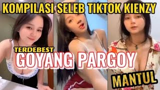 Download lagu KOMPILASI GOYANG TIKTOK TER VIRAL DJ KIENZY INDONESIA | TIKTOK VIRAL INDONESIA | mp3