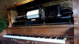 Eubie Blake -Boll Weevil Blues