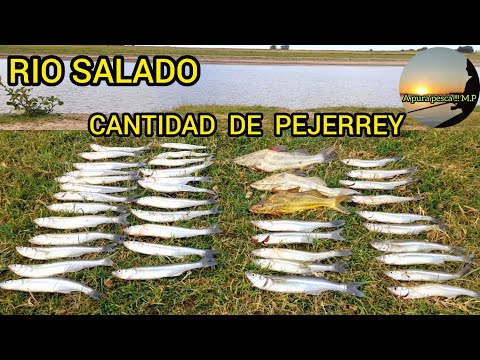 Pejerreyes en el rio salado/Pesca de costa /mucho pique de pejerrey