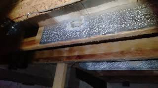 Download lagu pjw old 15.31 sarang bertambah 30 persen setelah 1 bulan mp3 Download lagu pjw old 15.31 sarang bertambah 30 persen setelah 1 bulan mp3