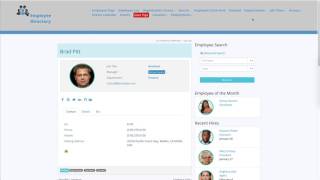 Employee Milestone Widgets to power up your sidebars – Employee Directory Pro WordPress Plugin