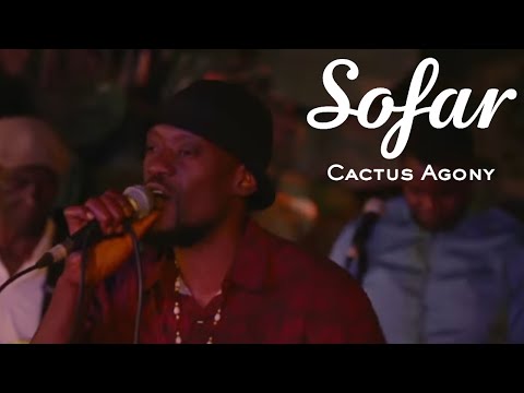 Cactus Agony - African Dream | Sofar Lusaka