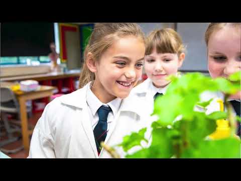 Shebbear College Virtual Open Morning - Science