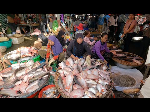 Early Morning Fish Market Scenes, Alive Fish, Seafood & Crabs & Vegetables @Chhbar Ampov Market