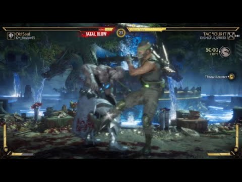 Mortal Kombat 11 I didnt even know i had this brutality