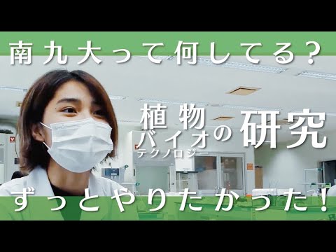【授業のぞき見！】植物バイオが学びたい！知識と技術が同時に身につく【植物バイオ育種実験Ⅰ】