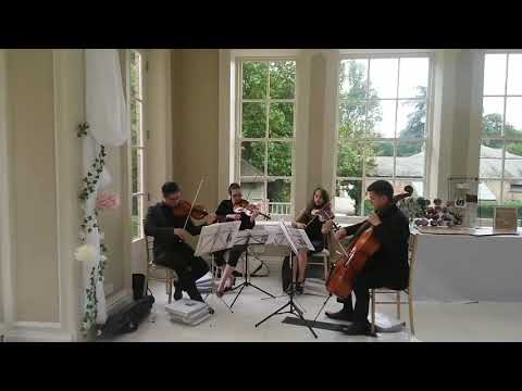 Endymion string quartet live - Wedding in Yorkshire