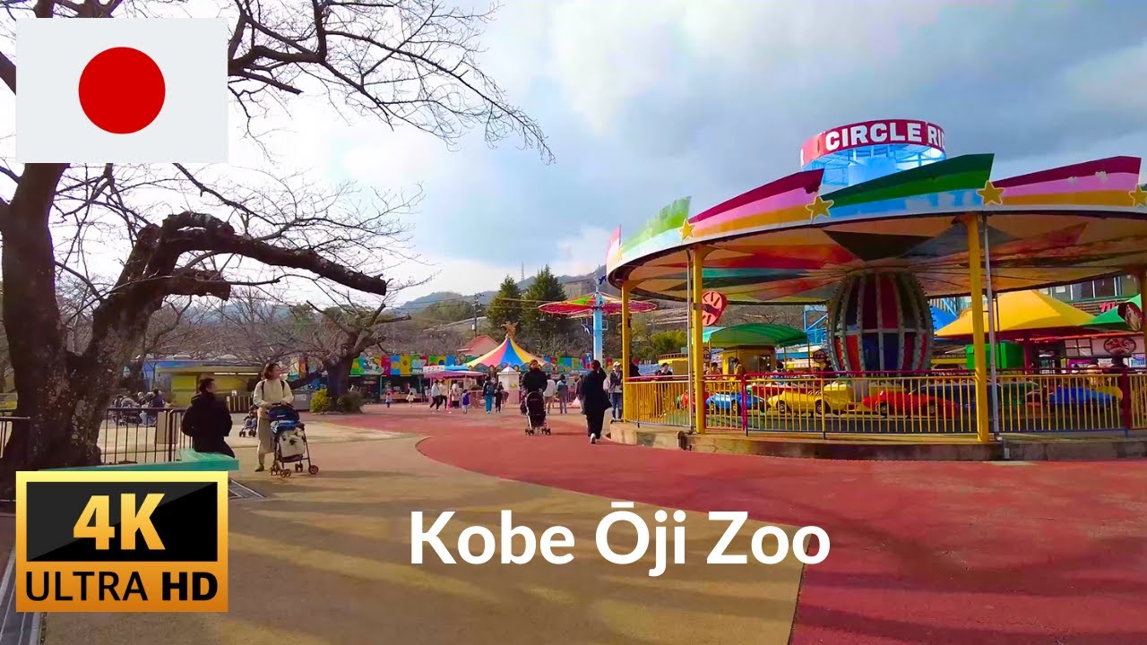 Embark on an engaging walking tour of the captivating Kobe Oji Zoo.