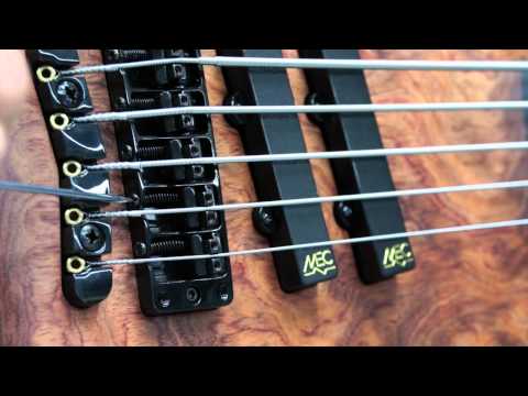 Warwick Tutorial: Intonation and Pickup Height